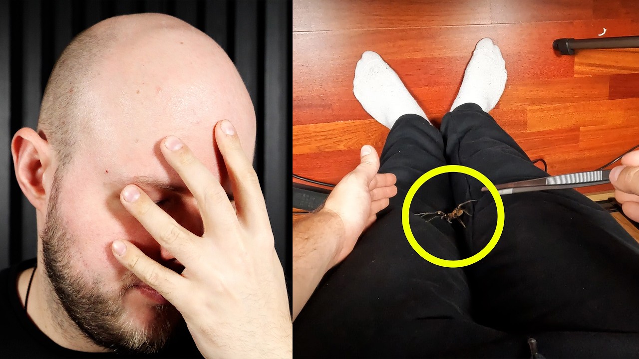 Moje TOP 10 najdroższych pająków!