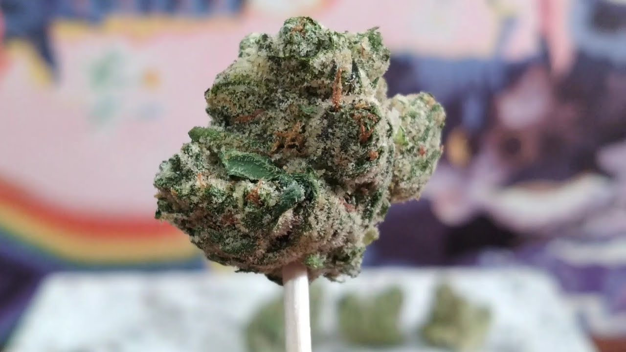 Fig Farms - Blue Face - Cannabis Review 
