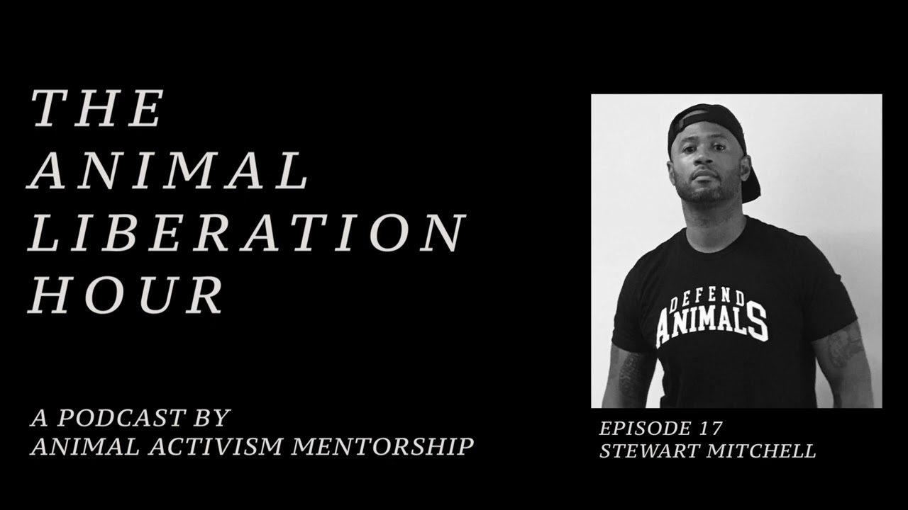 The Animal Liberation Hour by AAM /// Episode 17 - Stewart Mitchell aka Vigilante Vegan