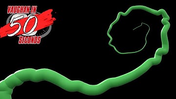 MODO | Animate a Growing Vine