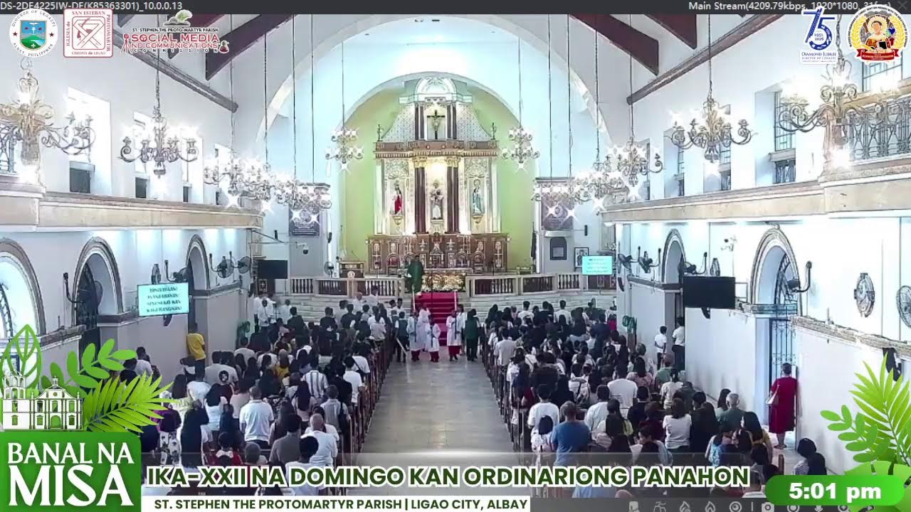 Banal na Misa | IKA-XXII NA DOMINGO SA ORDINARIONG PANAHON