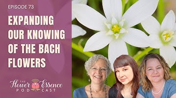 FEP73 Expanded Understanding of the Bach Flowers
