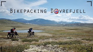 Bikepacking Dovrefjell - der etwas ungeplante Mädelsurlaub