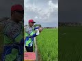 Melihat terbang merpati dari start