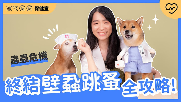 【除蚤壁蝨】终结壁蝨跳蚤全攻略！猫狗身上的虫虫危机｜宠物圈圈保健室Ep.6 妞新闻 - 天天要闻