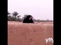 ياول ادخلو عجاج