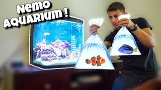 NEMO Themed Aquarium With NEW Fish!!