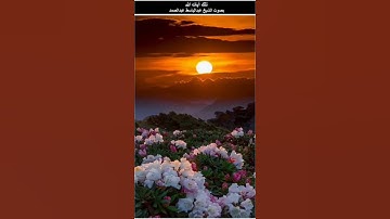 قالوا ادع لنا ربك يبين لنا ما لونها قال إنه يقول  ... =سورة البقرة آية 69 #عبدالباسط_عبدالصمد