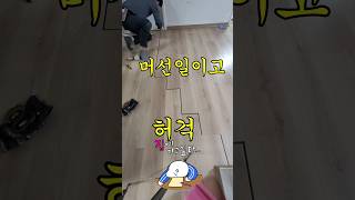 강화마루 틈  좋은방법 tips