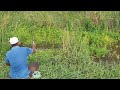 Best small hook fishing|Fisher Man Catching in Deep ponds|Baamfish and Tilapiafishes fishing 🐟🐟🐟👍