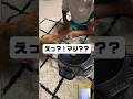 喧嘩寸前！#ねこのいる暮らし #チャンネル登録してね