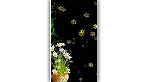 black screen template. avee player template. light affect template. kinemaster background video.