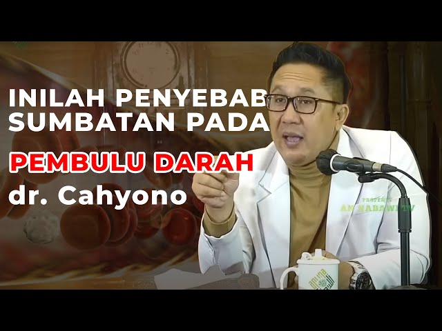 APA SEBENARNYA PENYEBAB SUMBATAN PADA PEMBULU DARAH ?? - dr. R. Cahyono Sp Naturopathy class=