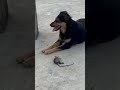 #shortsfeed