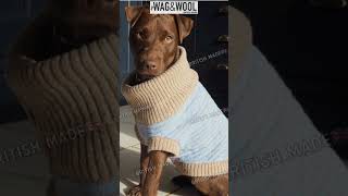 wag & wool code! #shorts #dogs #wool #animals #shortsvideo #madeinUK