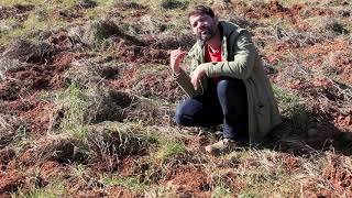 Wild Boar Control