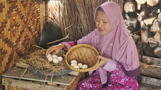 Mengambil Telur Ayam | Masak Nasi Rendang, Telur Barendo, Kacimuih, dan Sambal Hijau