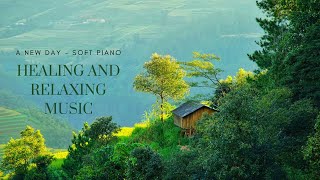 Nhạc Piano Nhẹ Nhàng 🌿 Tiếng Chim Hót Cho Một Ngày Mới An Lành 🍀 | A New Day - Soft Piano 🍀 screenshot 1