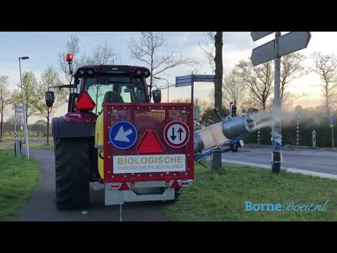 Start bestrijding processierups