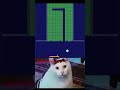 brickmania cipi cipi capa capa arcade games bestarcadegames brickmania cipi cipi capa capa arcade games bestarcadegames