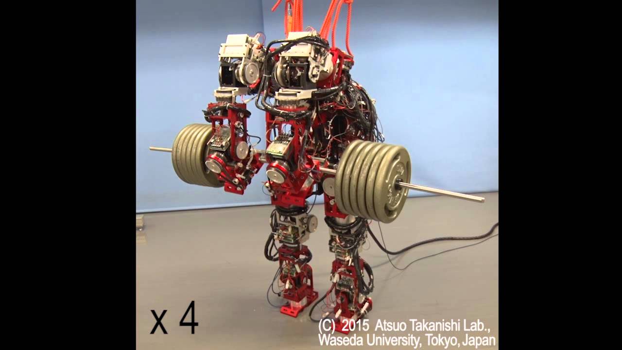 村木順子/LOCOMOTION Multi Locomotion Robot