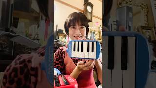 Tiny Melodicas | 超短い10・12鍵の鍵盤ハーモニカを頂きました