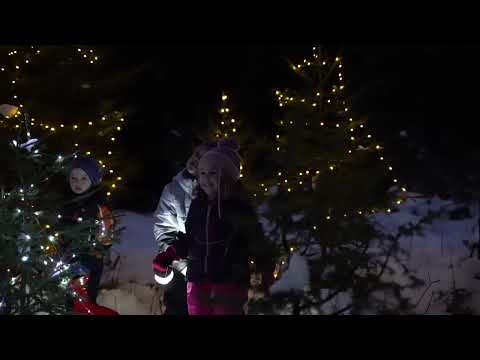 Advent Pur - Il sentiero a lume di lanterne tra i boschi di Valbruna