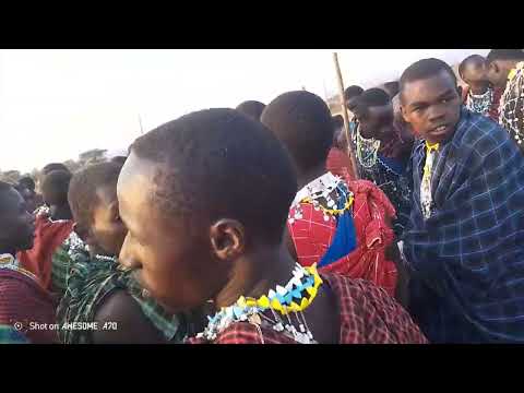 Ketumbeine Katika Esajata O Irmegoliki Kijiji Cha Irbilin