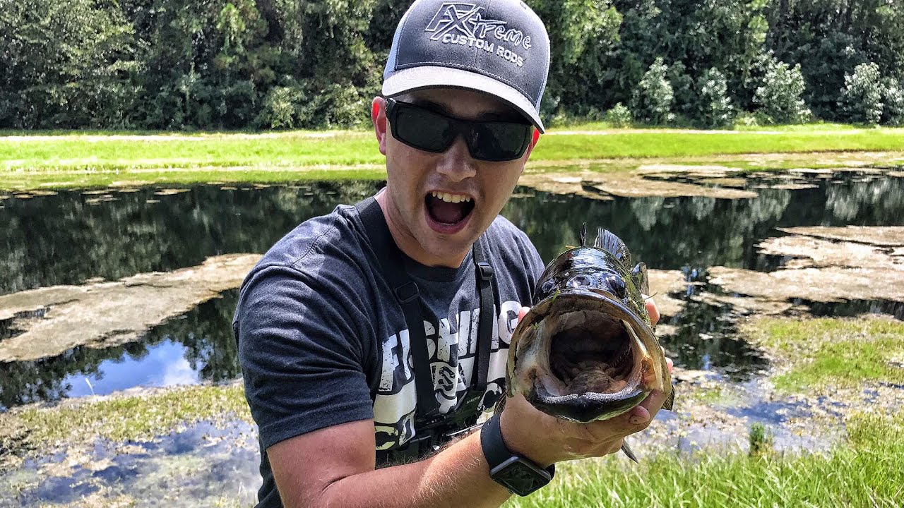 Summer FROG Fishing for giant Bass! 