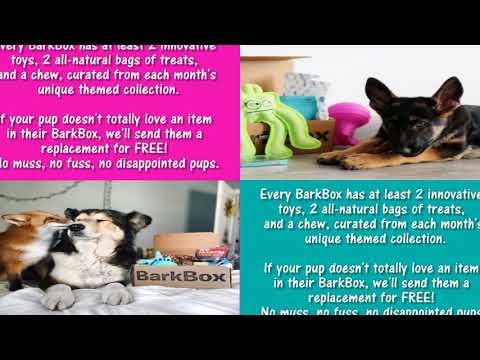 barkbox:-dog-toys,-treats-&-gifts-every-month