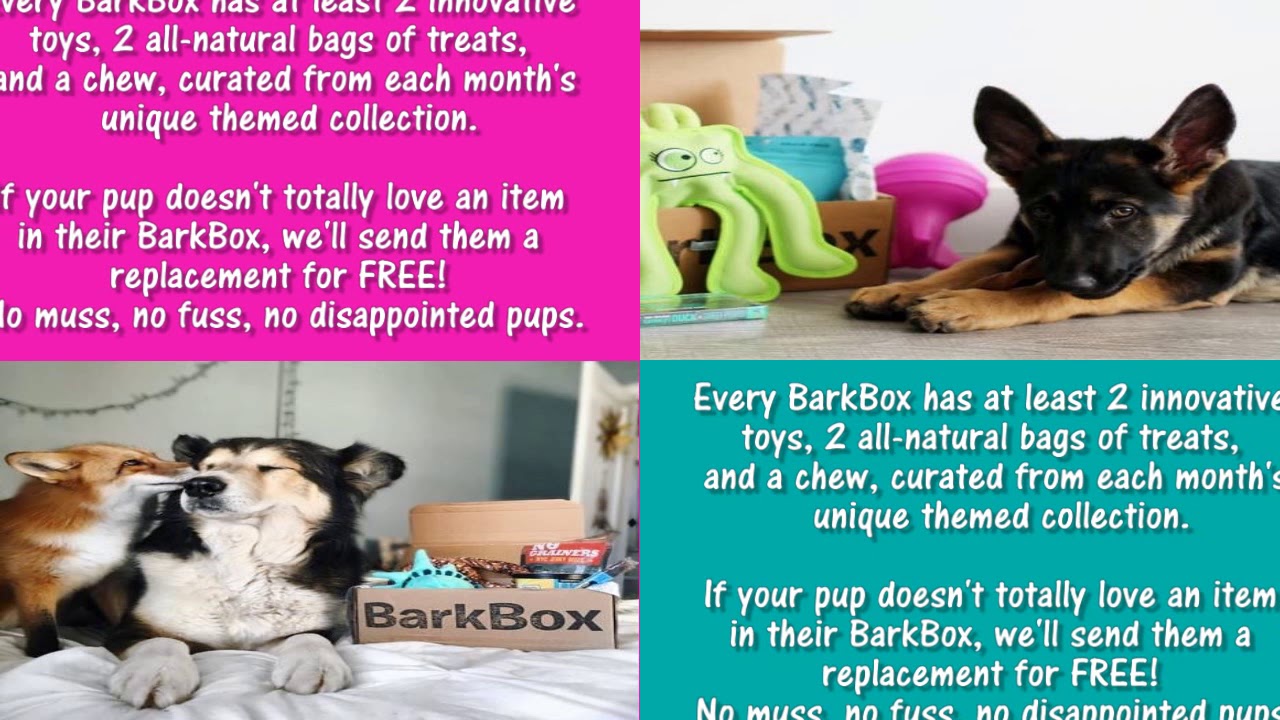 BarkBox: Dog Toys, Treats & Gifts Every Month