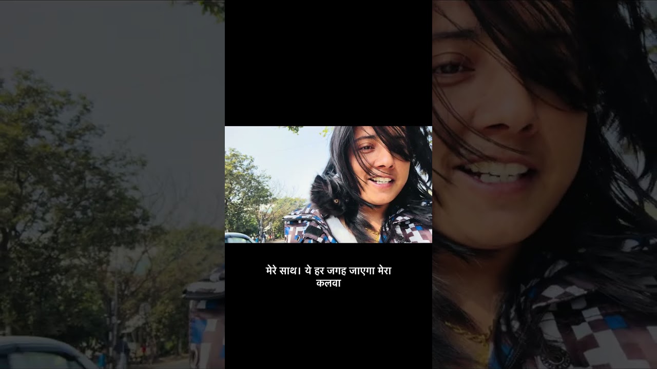 How to start traveling with your cat 