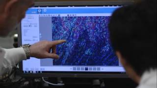 KGW  :30 Breast Cancer Research Dr. Page (Sept 2016 )