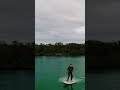 FUNNY E-FOIL WIPEOUT