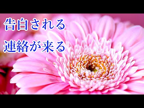 【聞き流すだけで】好きな人から返信が返ってくる愛を引き寄せる音楽・瞑想BGM💗Music that draws love from people you love