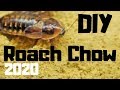 How to make roach chow  cockroach food  bug grub 2020