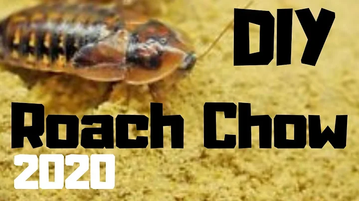 HOW TO MAKE ROACH CHOW / Cockroach Food / Bug Grub...