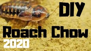 HOW TO MAKE ROACH CHOW / Cockroach Food / Bug Grub 2020