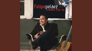 Video thumbnail of "Felipe Peláez - Tu Norte Soy Yo"