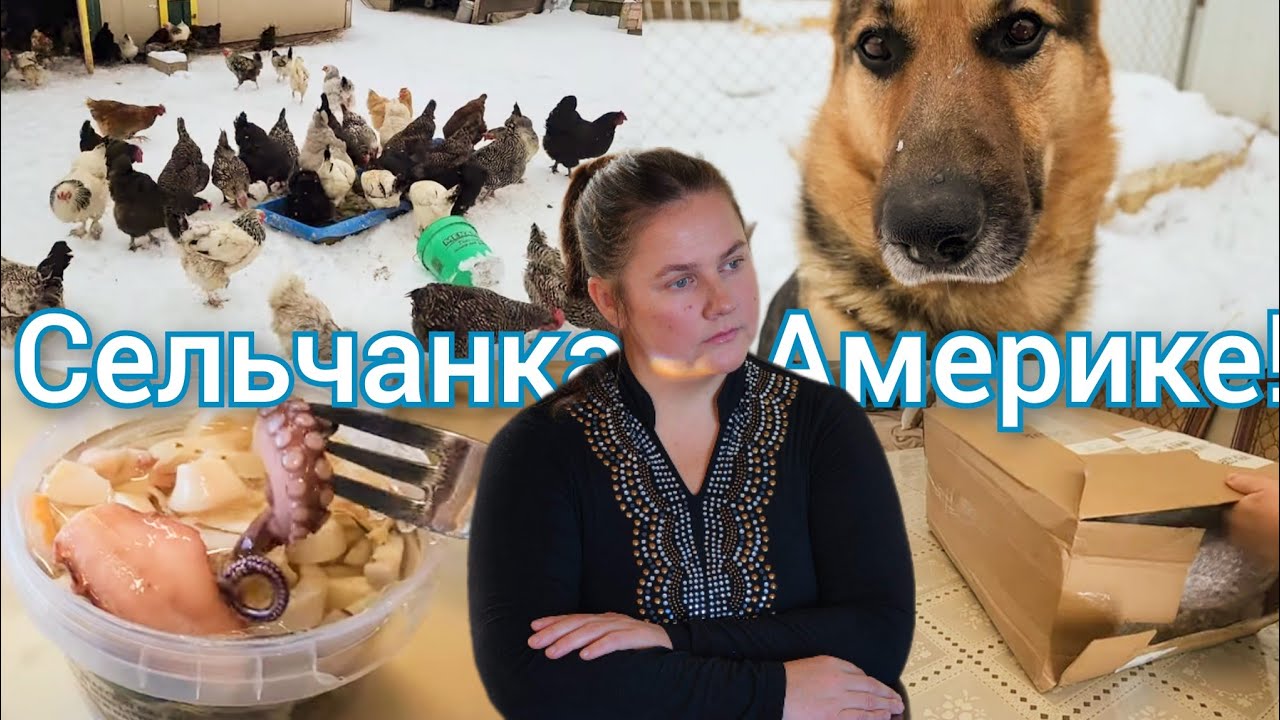 Сельчанка в америке selchanka