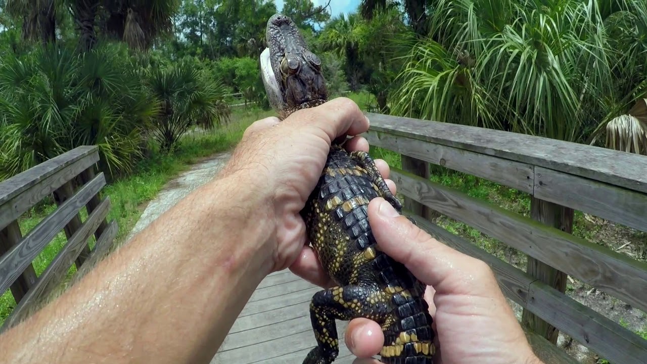 Fly fishing in Jupiter Farms