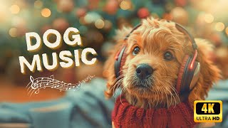 Dog Music in 4K: Calming Music for Puppies with Anxiety | Relaxing Music For Dog