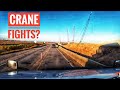 My Trucking Life | CRANE FIGHTS? | #1837