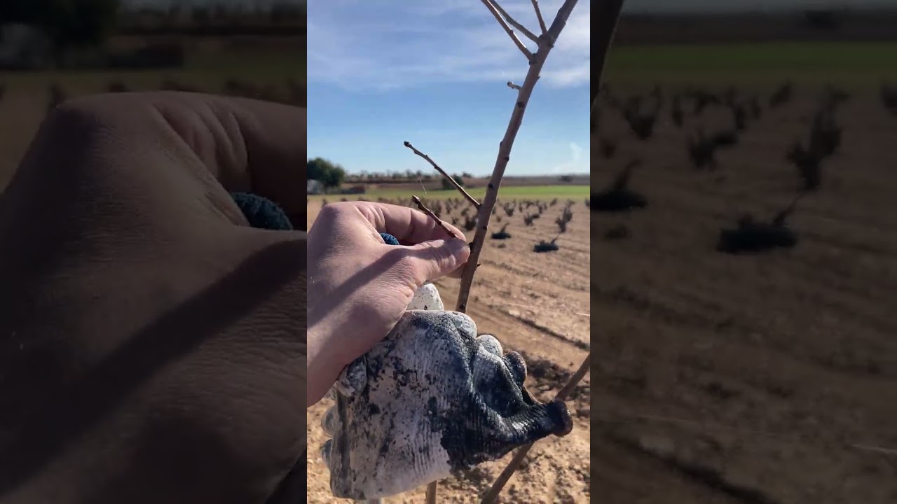 Aprovechando el solecito 🌳🌳🌳