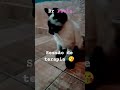 #gacha #mobilelegends #cosplay #cosplay #viralvideo #trend #dance #music