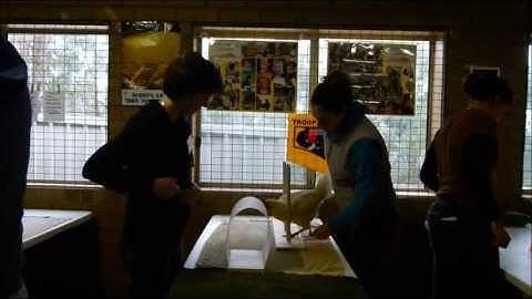 Back-chaining explained ... with a chicken!