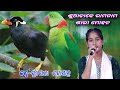      live singing by sunayana mohapatra on stage programsambalpuri  bhajan