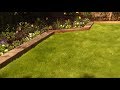 How to Care For and Maintain Lawns | Mitre 10 Easy As DIY