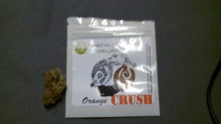 Orange Crush Strain Review