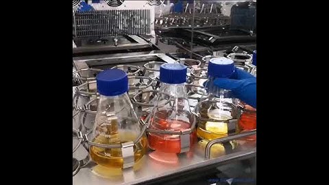 Shaking Incubators   ICB -2S205R